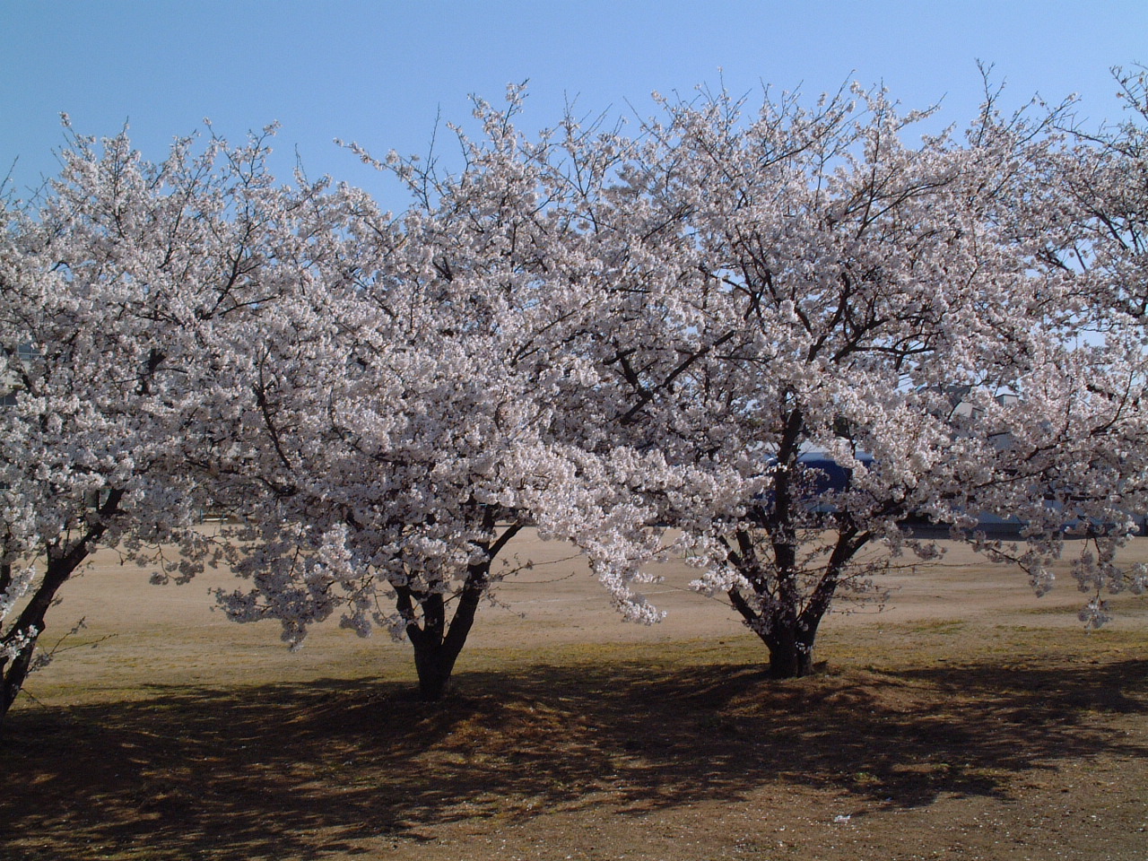 dscf0034.jpg