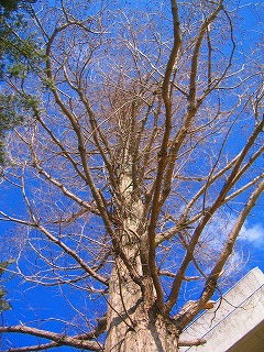 img_4050.jpg